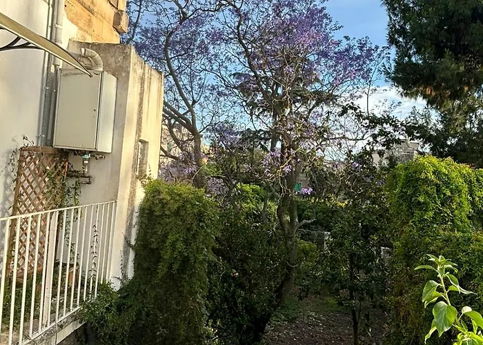 Terrazza Brancaccio ゲストハウス